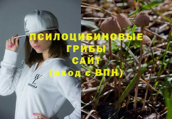 mdpv Майский