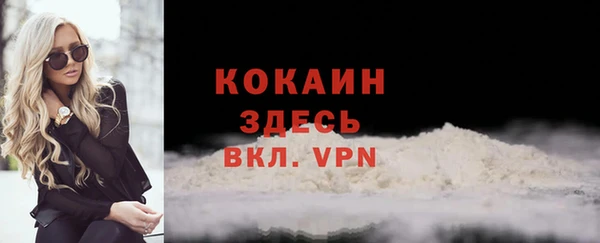 шишки Магадан