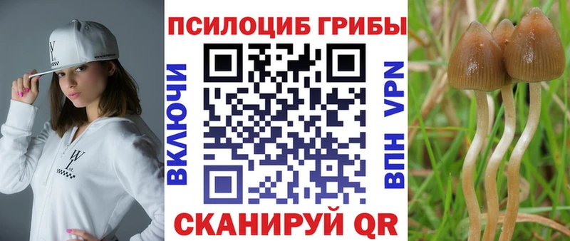 магазин продажи   Татарск  Псилоцибиновые грибы ЛСД 
