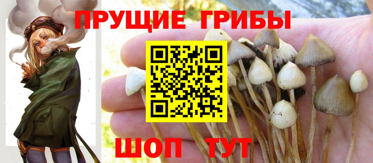 Татарск  Псилоцибиновые грибы мицелий  Псилоцибиновые грибы ЛСД  Вход с VPN 